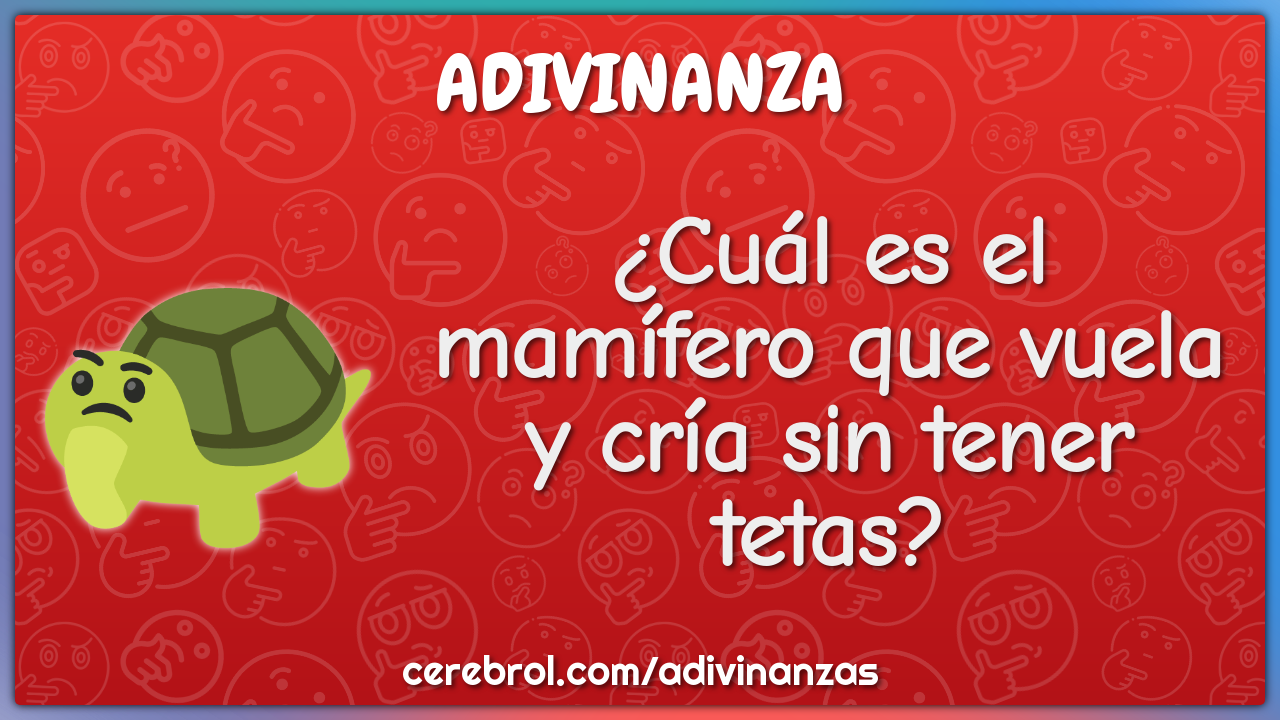 ¿Cuál es el mamífero que vuela y cría sin tener tetas?