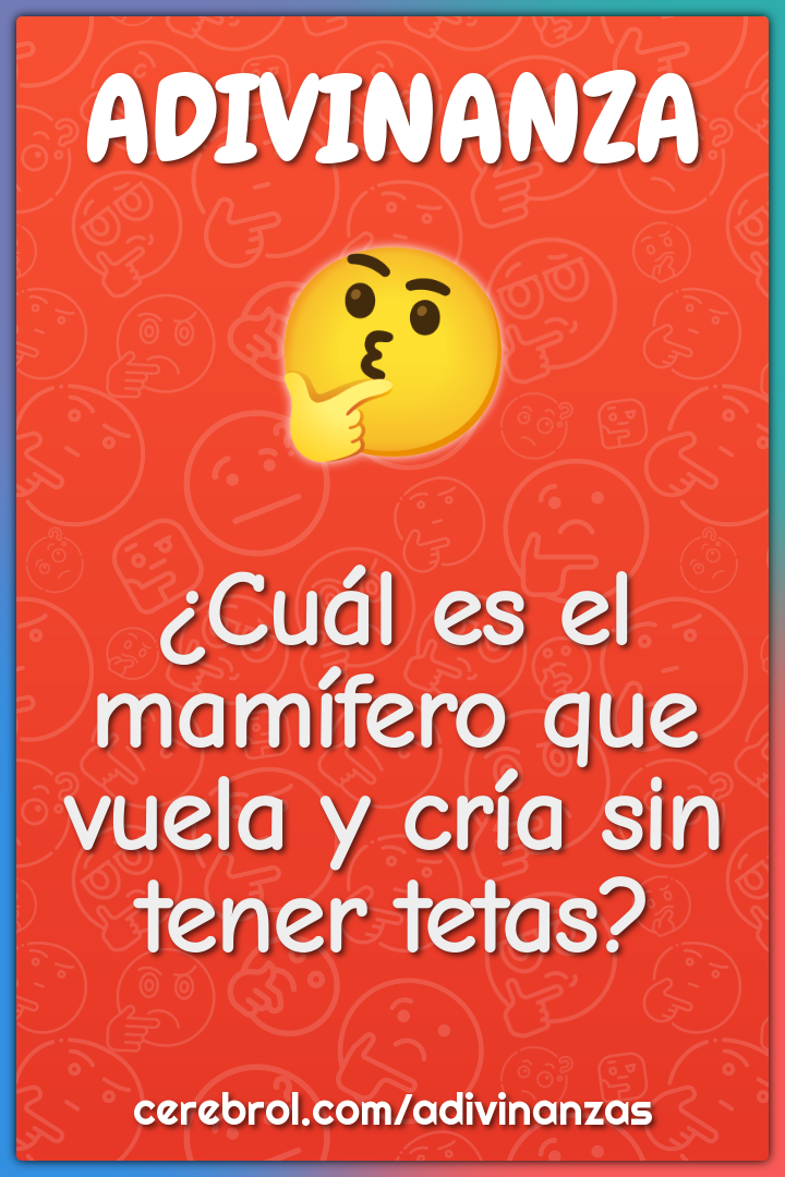 ¿Cuál es el mamífero que vuela y cría sin tener tetas?