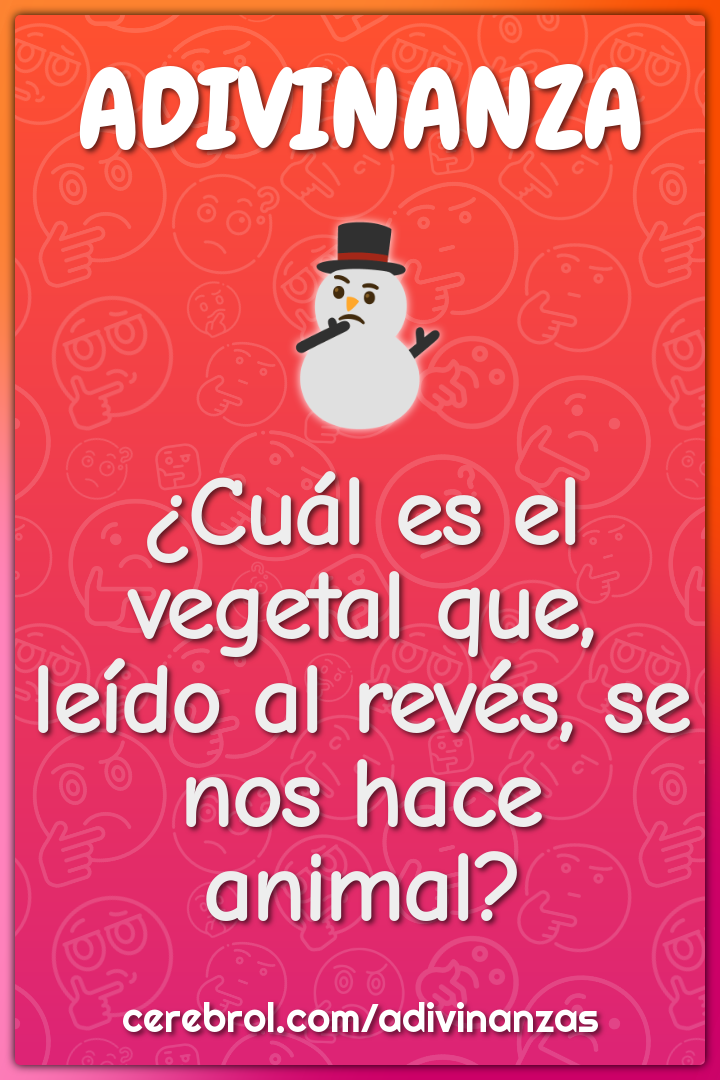 ¿Cuál es el vegetal que, leído al revés, se nos hace animal?