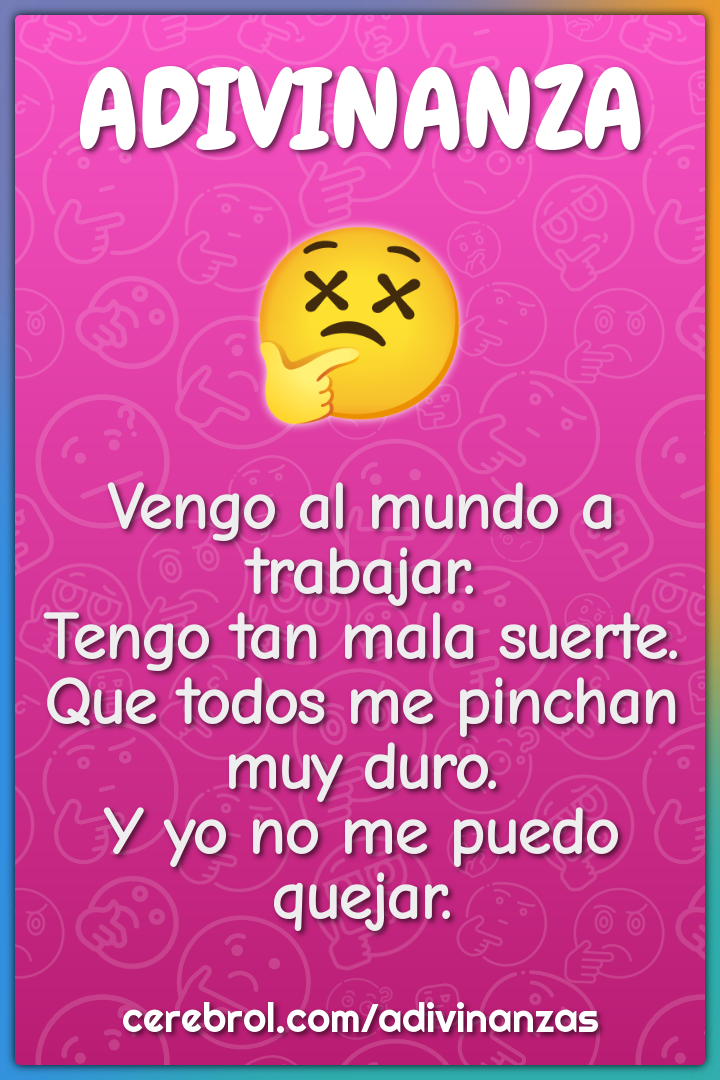 Vengo al mundo a trabajar. Tengo tan mala suerte. Que todos me pinchan...