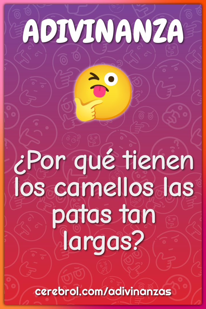 ¿Por qué tienen los camellos las patas tan largas?