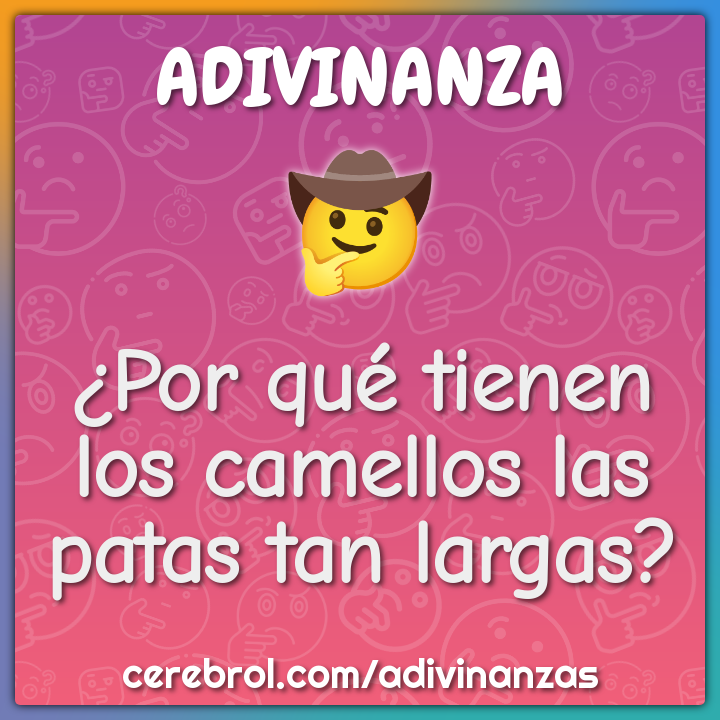  Por Qu Tienen Los Camellos Las Patas Tan Largas Adivinanza 