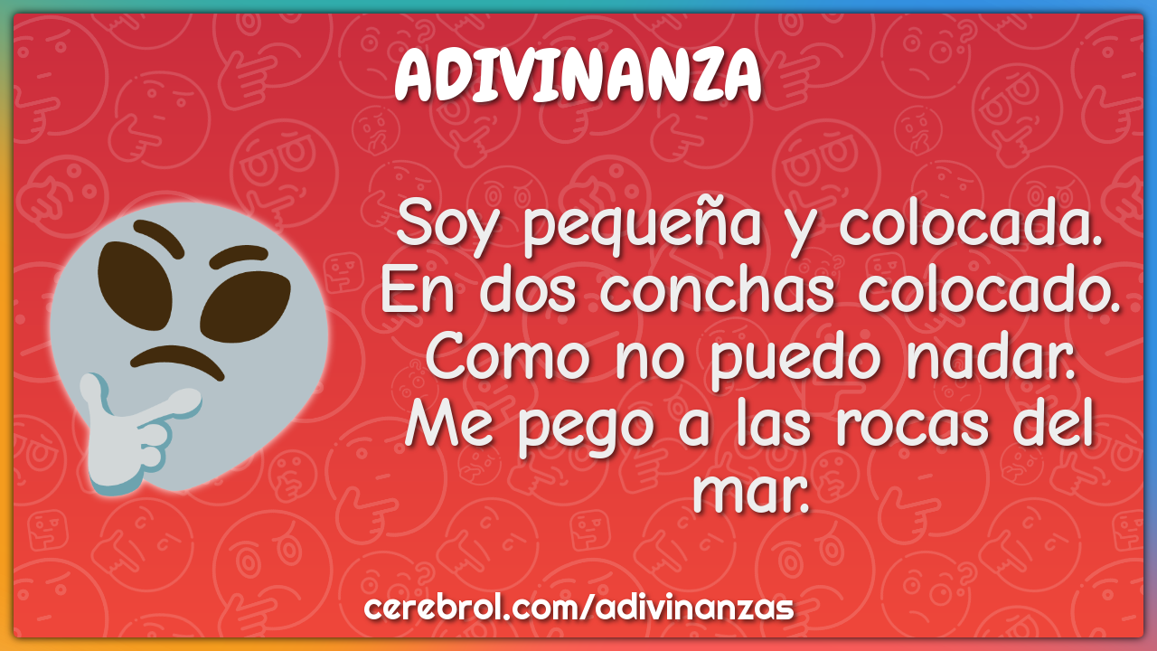 Soy pequeña y colocada. En dos conchas colocado. Como no puedo nadar....