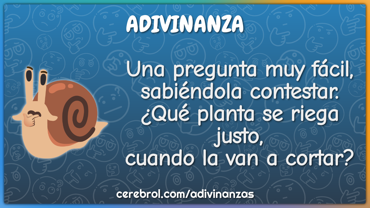 Una pregunta muy fácil, sabiéndola contestar. ¿Qué planta se riega...