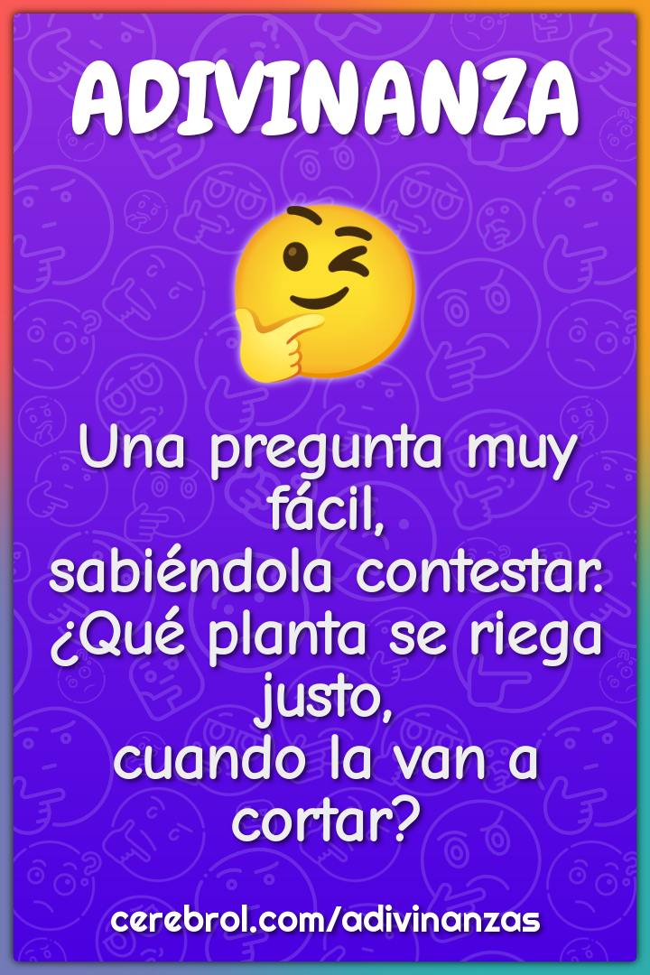 Una pregunta muy fácil, sabiéndola contestar. ¿Qué planta se riega...