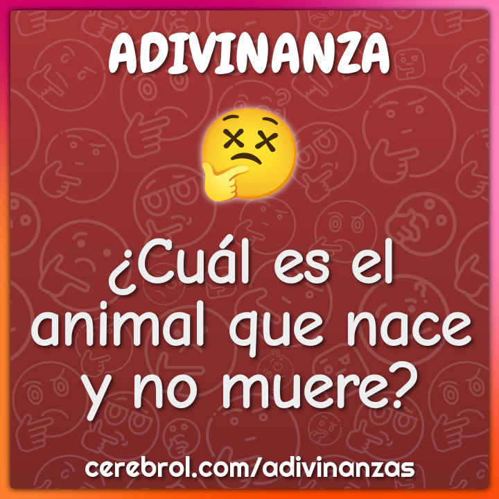 ¿Cuál es el animal que nace y no muere?