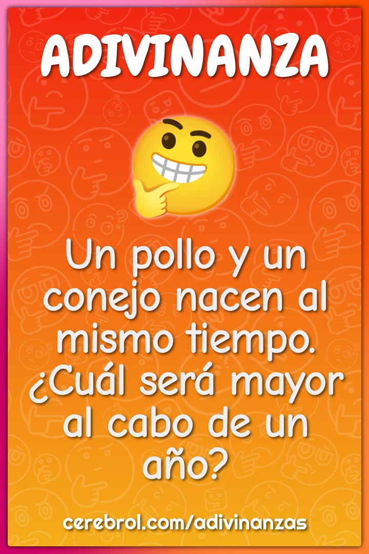 Un pollo y un conejo nacen al mismo tiempo. ¿Cuál será mayor al cabo...