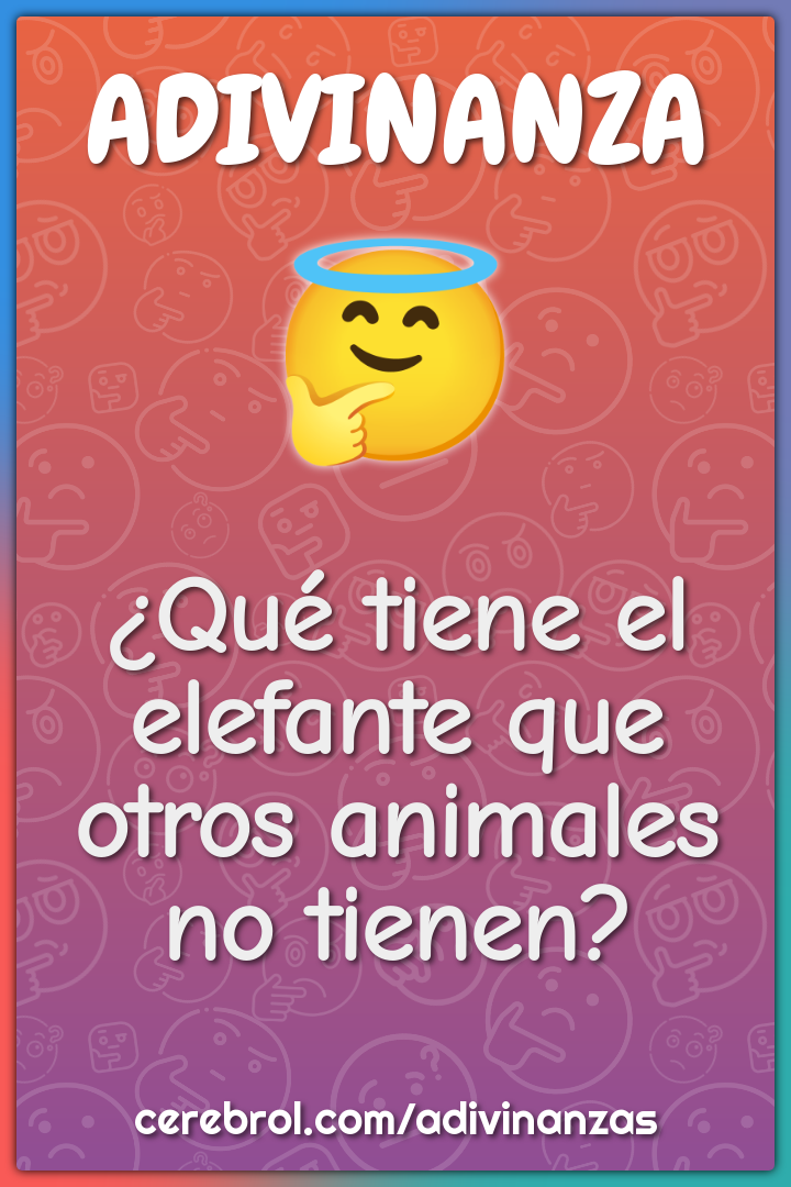 ¿Qué tiene el elefante que otros animales no tienen?