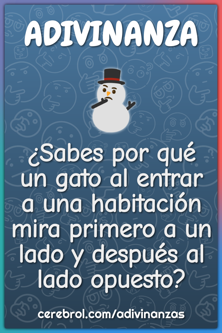 ¿Sabes por qué un gato al entrar a una habitación mira primero a un...