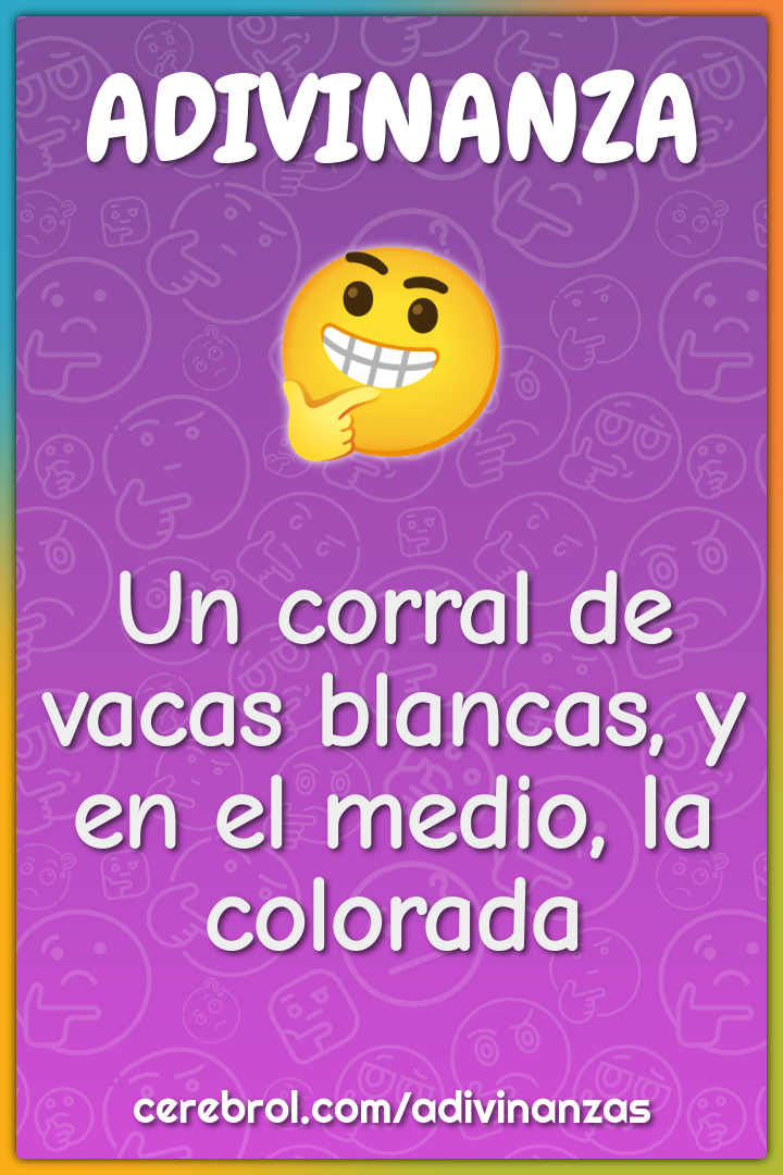 Un corral de vacas blancas, y en el medio, la colorada