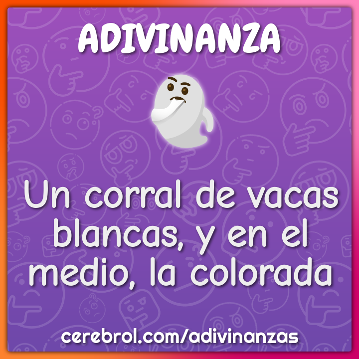 Un corral de vacas blancas, y en el medio, la colorada