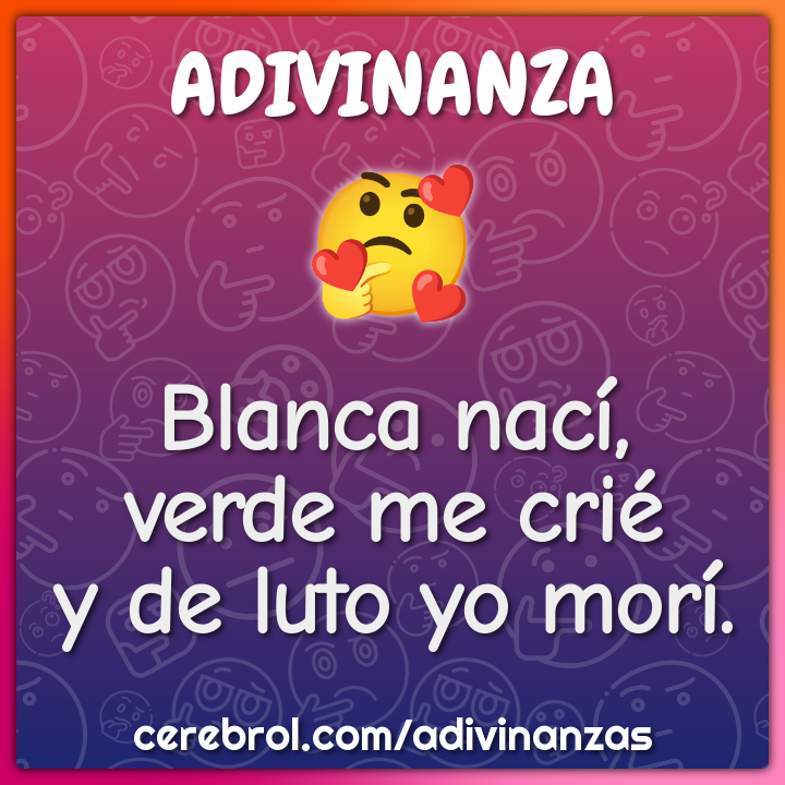Blanca nací,
verde me crié
y de luto yo morí.