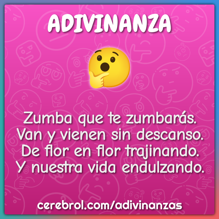 Zumba que te zumbarás. Van y vienen sin descanso. De flor en flor...