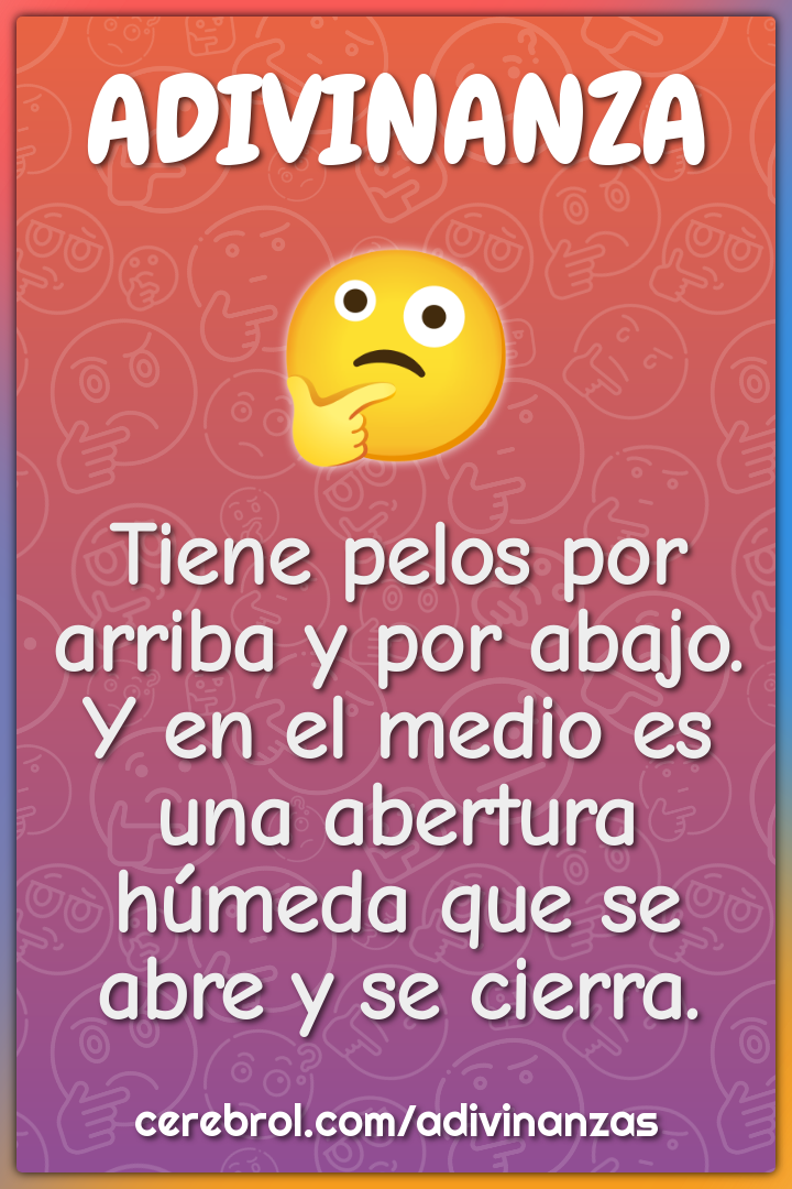 Tiene pelos por arriba y por abajo. Y en el medio es una abertura...