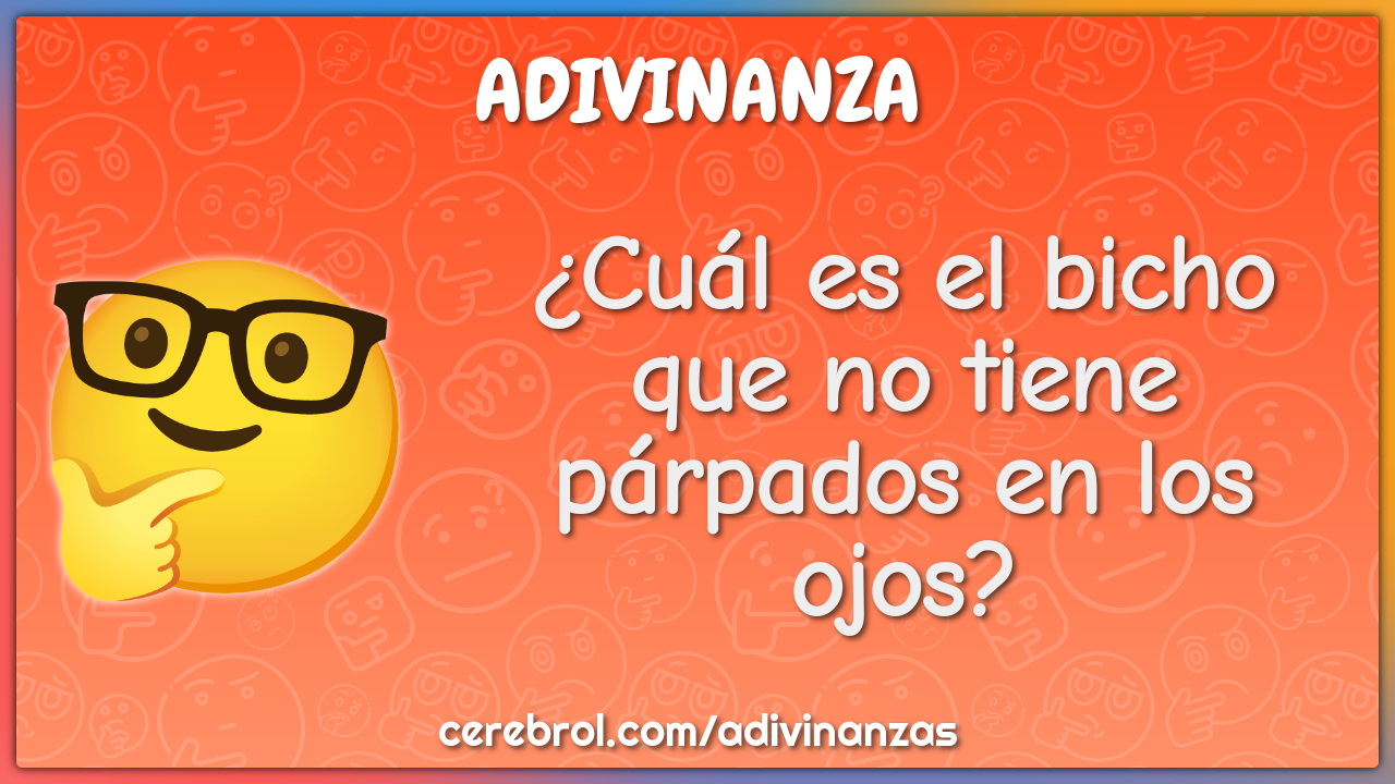 ¿Cuál es el bicho que no tiene párpados en los ojos?