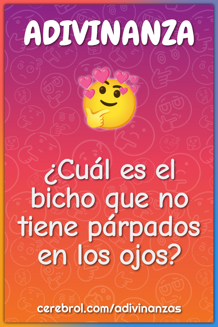 ¿Cuál es el bicho que no tiene párpados en los ojos?