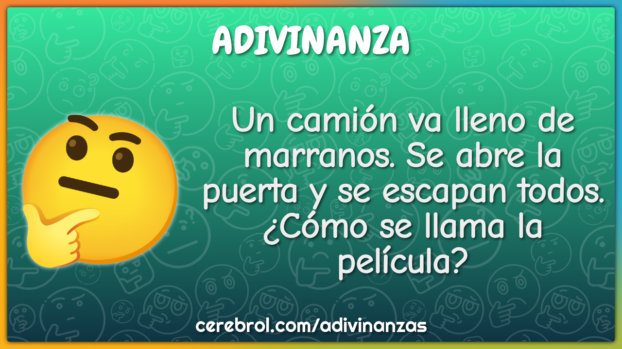 Un camión va lleno de marranos. Se abre la puerta y se escapan todos....