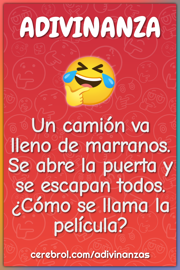 Un camión va lleno de marranos. Se abre la puerta y se escapan todos....