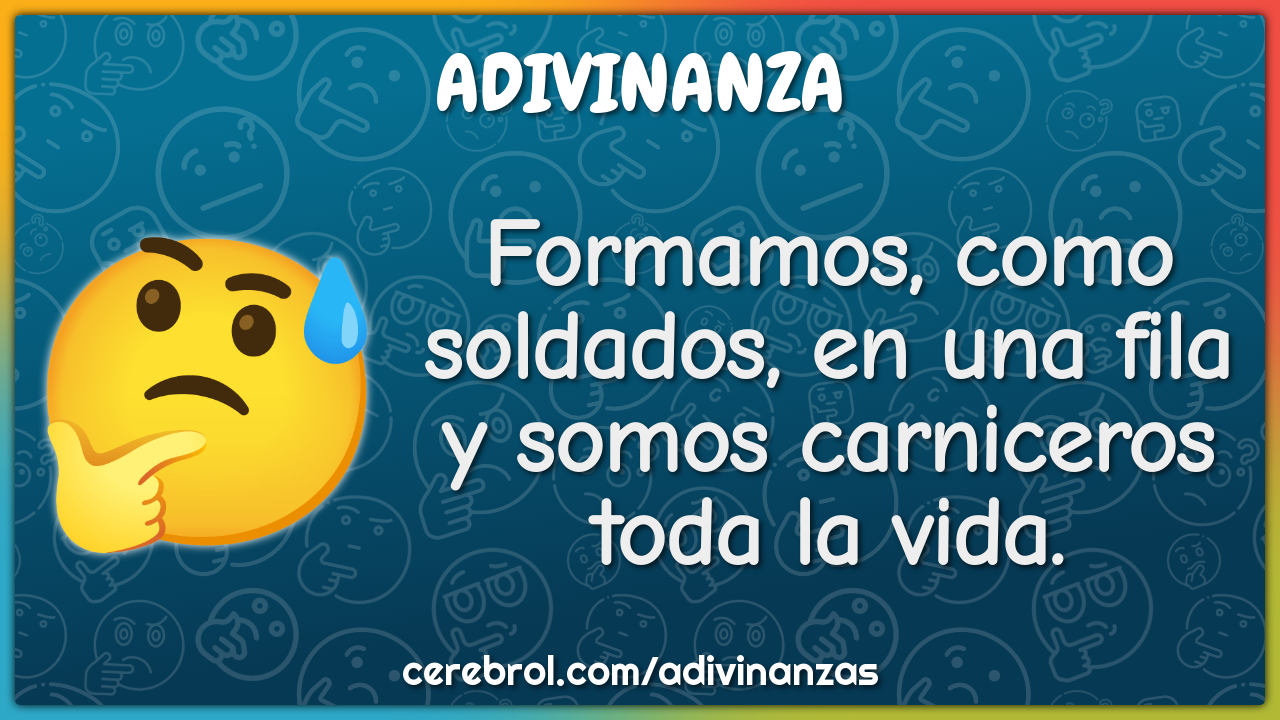 Formamos, como soldados, en una fila
y somos carniceros toda la vida.