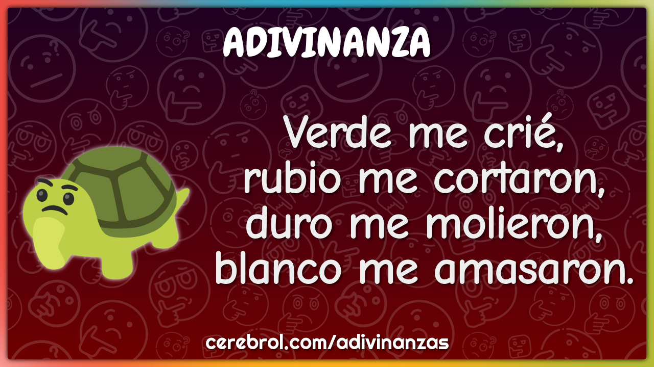 Verde me crié, rubio me cortaron, duro me molieron, blanco me...