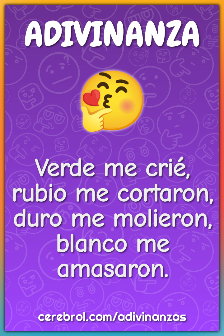 Verde me crié, rubio me cortaron, duro me molieron, blanco me...