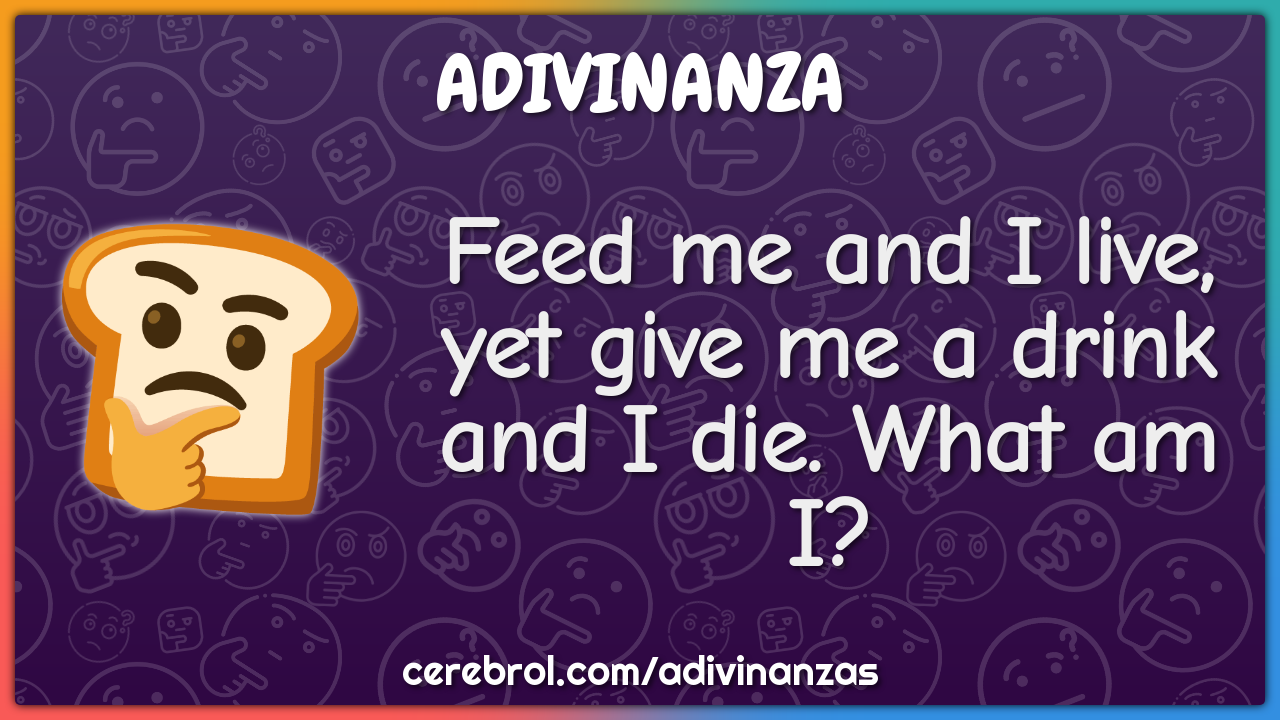Feed me and I live, yet give me a drink and I die. What am I?