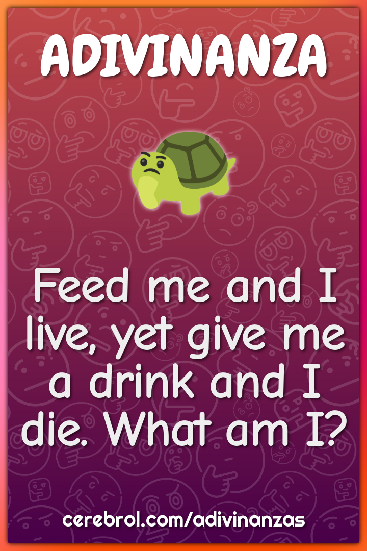 Feed me and I live, yet give me a drink and I die. What am I?