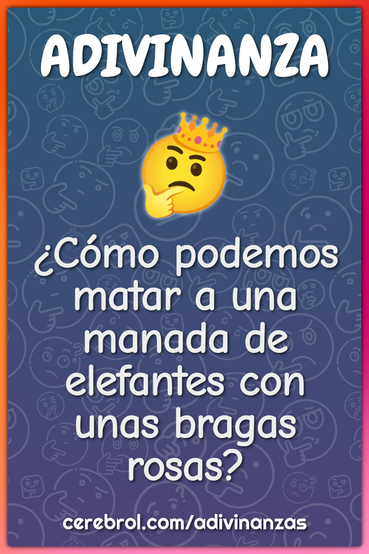 ¿Cómo podemos matar a una manada de elefantes con unas bragas rosas?