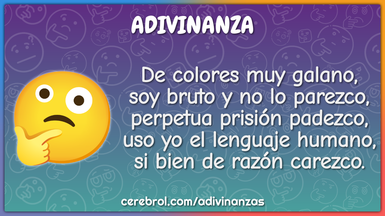 De colores muy galano, soy bruto y no lo parezco, perpetua prisión...