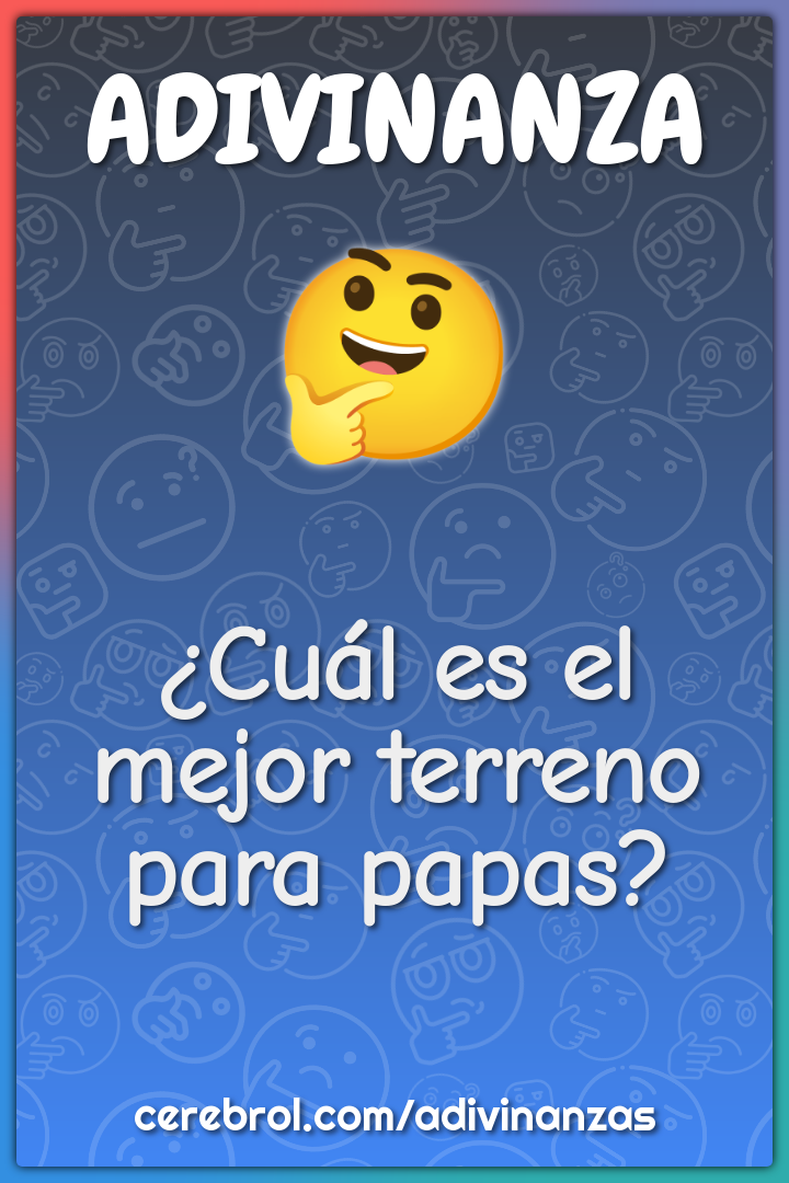 ¿Cuál es el mejor terreno para papas?