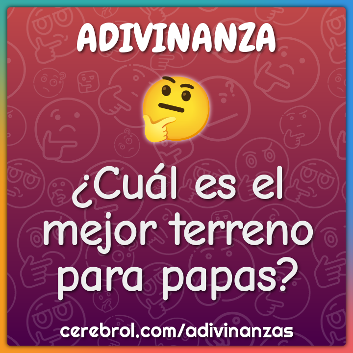 ¿Cuál es el mejor terreno para papas?