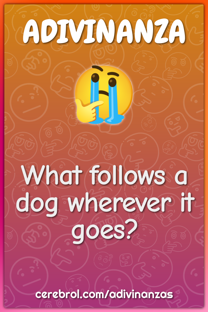 What follows a dog wherever it goes?