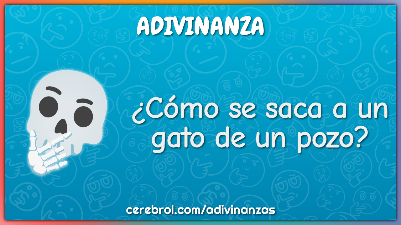 ¿Cómo se saca a un gato de un pozo?