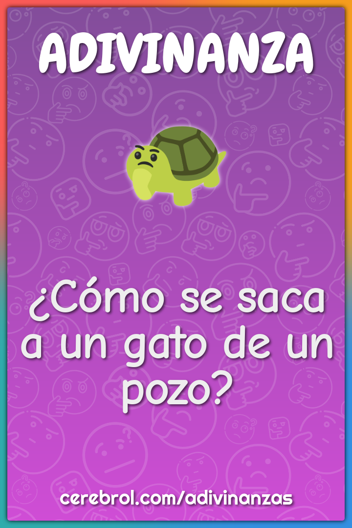 ¿Cómo se saca a un gato de un pozo?