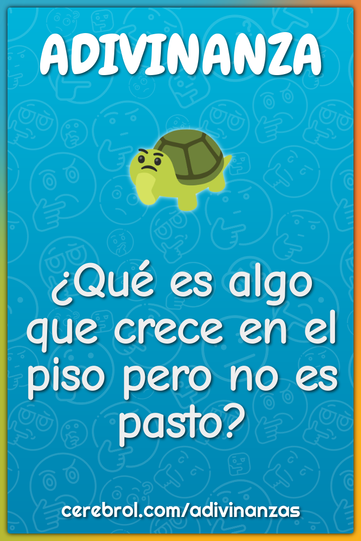 ¿Qué es algo que crece en el piso pero no es pasto?