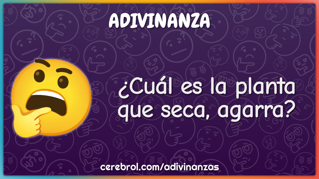 ¿Cuál es la planta que seca, agarra?
