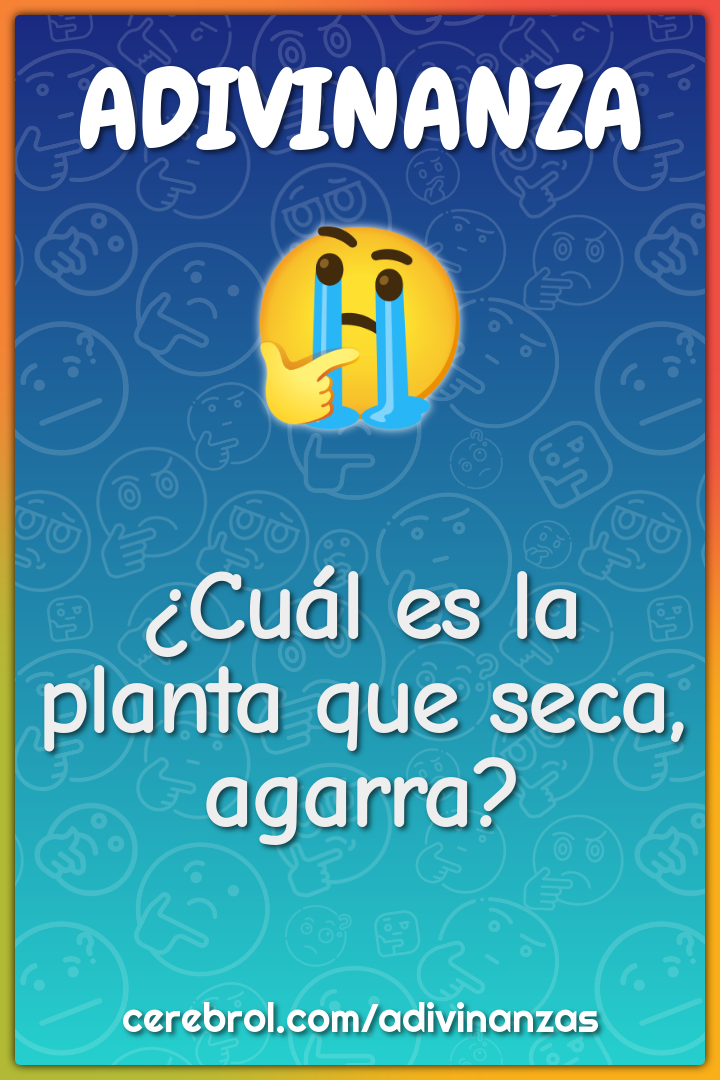 ¿Cuál es la planta que seca, agarra?