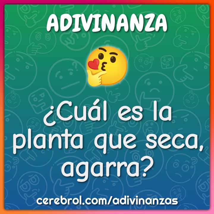 ¿Cuál es la planta que seca, agarra?