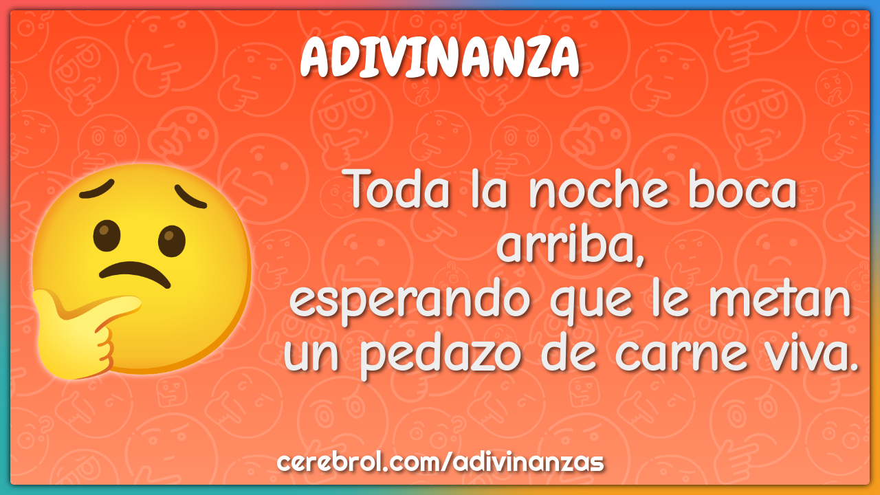 Toda la noche boca arriba, esperando que le metan un pedazo de carne...