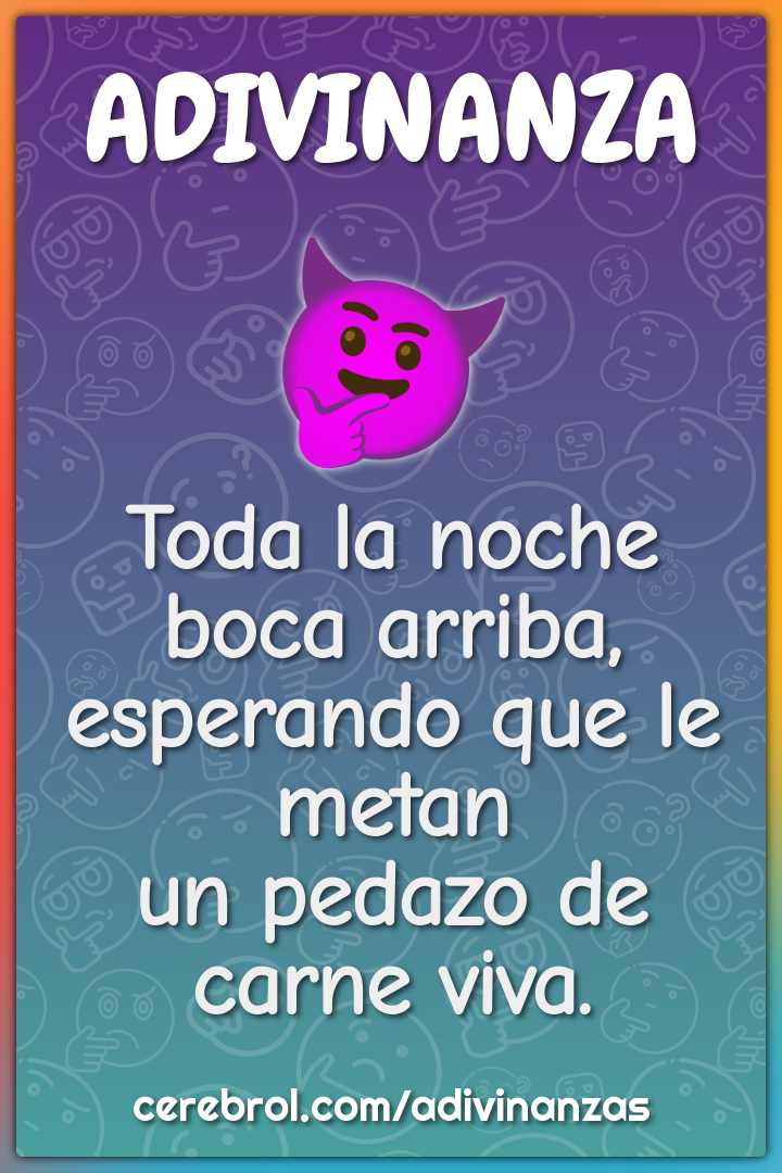 Toda la noche boca arriba, esperando que le metan un pedazo de carne...