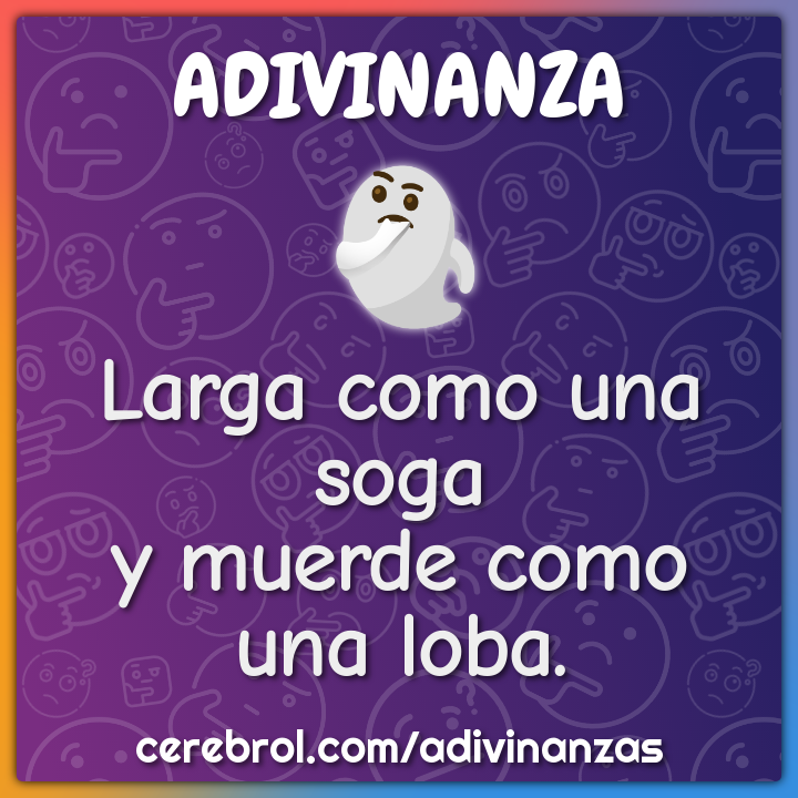 Larga como una soga
y muerde como una loba.