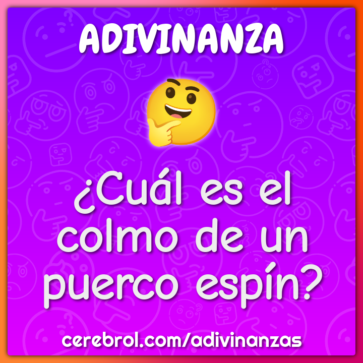 ¿Cuál es el colmo de un puerco espín?
