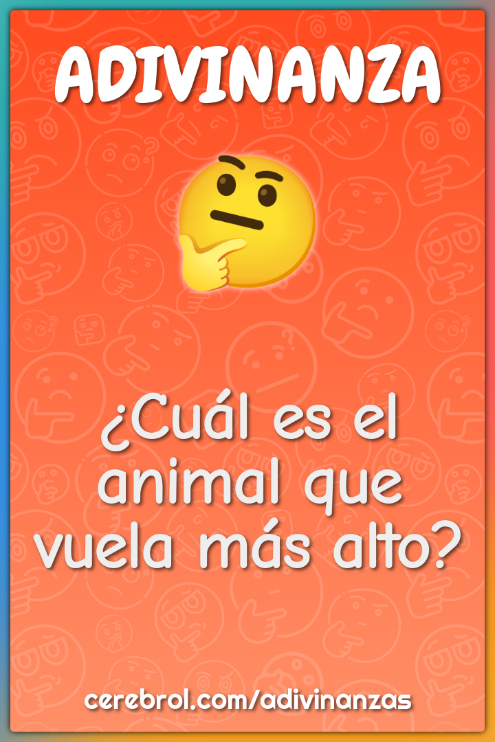 ¿Cuál es el animal que vuela más alto?