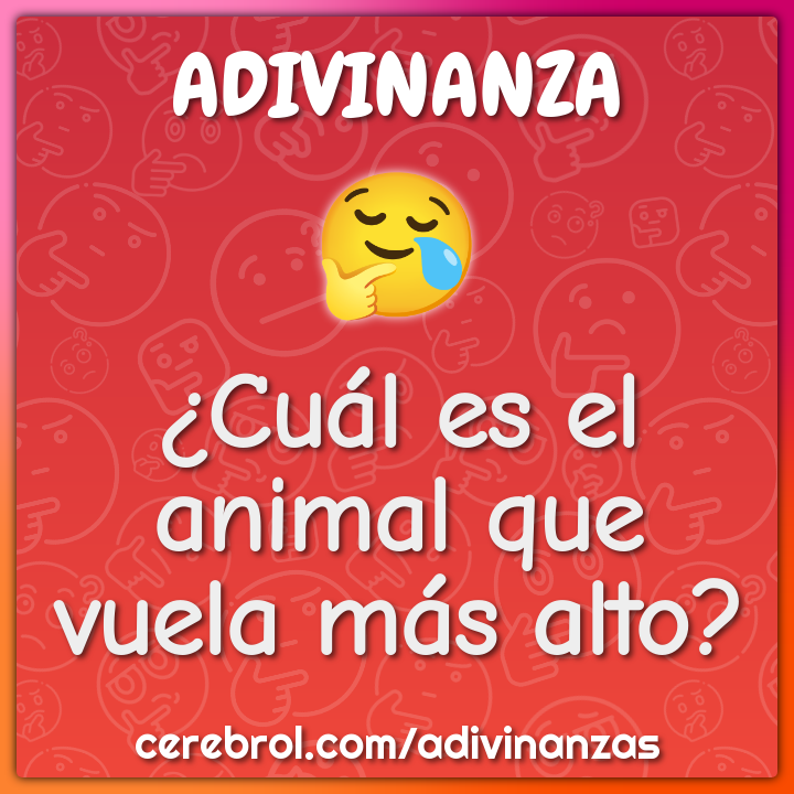 ¿Cuál es el animal que vuela más alto?