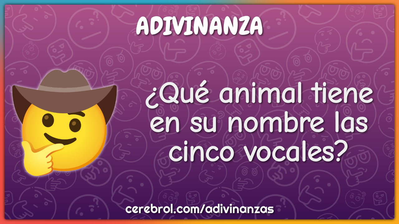 gatito sustracción Soledad Qué animal tiene en su nombre las cinco vocales? - Adivinanza & Respuesta -  Cerebrol
