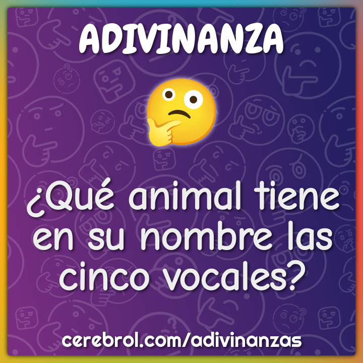gatito sustracción Soledad Qué animal tiene en su nombre las cinco vocales? - Adivinanza & Respuesta -  Cerebrol