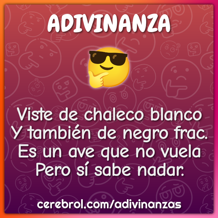 Viste de chaleco blanco Y también de negro frac. Es un ave que no...