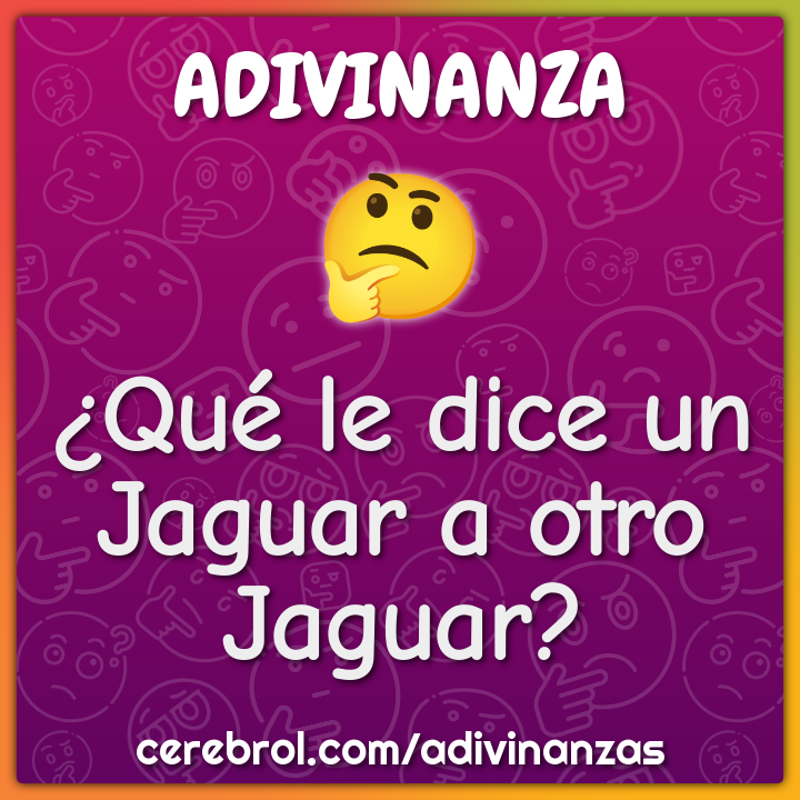 ¿Qué le dice un Jaguar a otro Jaguar?