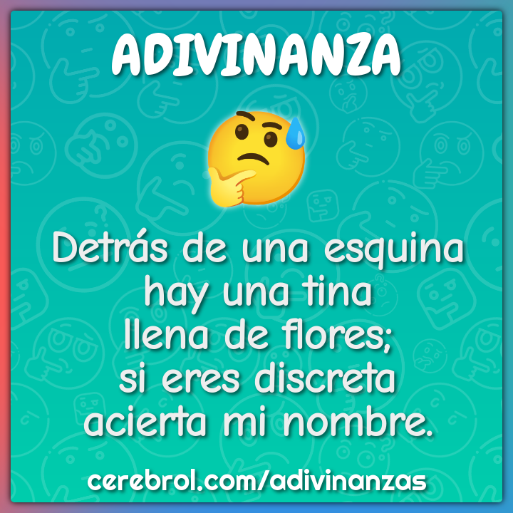 Detrás de una esquina hay una tina llena de flores; si eres discreta...