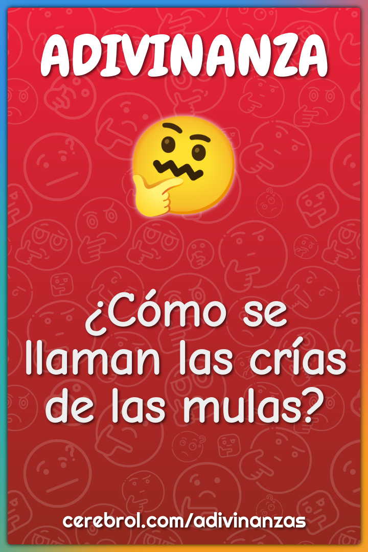 ¿Cómo se llaman las crías de las mulas?